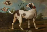 circle of Jean Baptiste Oudry, The pointer "Bello" in a landscape, oil on canvas, unframed
