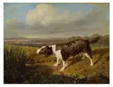 Ferdinand Georg Waldmüller, Hunting dog of Count Esterházy, standing near a pond
