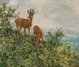 Erich Dichtl, Landscape in spring with gazing deer, oil on canvas