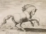 called Giovanni Stradanus Jan van der Straet, Der Marstall Don Juan d’Austrias“ (4 Blätter), Kupferstiche, teilweise fleckig