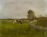 Eugen Jettel, Meadow near Cayeux (Picardy), oil on panel