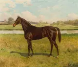 Marie Joseph Ernest Le Nail, Racehorse on the paddock, oil on canvas
