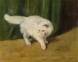 Arthur Heyer, White Angora cat, oil on canvas on cardboard