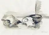 Ferdinand Stransky, Stillleben mit Muschel und Totenschädel, 1981, Aquarell, Tusche auf Papier; ungerahmt