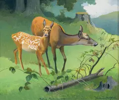 Damkuh mit Kalb by Ferdinand Karl Gold, 1952, Öl auf Leinwand auf Karton, sold Feb 2016