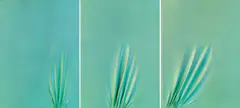 Jorrit Tornquist, o.T. (Triptychon), Acryl auf Leinwand
