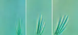 Jorrit Tornquist, o.T. (Triptychon), Acryl auf Leinwand