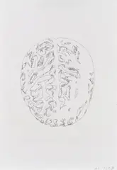 Peter Kogler, Gehirn, 1997, Tusche auf Papier