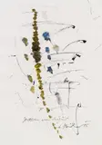 Spuren im August by Hans Staudacher, 1995, Mischtechnik auf Papier, sold Feb 2016