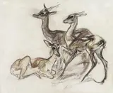 Ludwig Heinrich Jungnickel, Antelopes