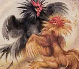 Norbertine Bresslern-Roth, Kämpfende Hähne