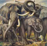 Norbertine Bresslern-Roth, Elefants