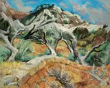 Willy Eisenschitz, Les pentes du Coudon