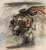 Ludwig Heinrich Jungnickel, Head of a tiger