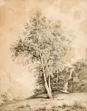 Jakob Alt, Study of a tree