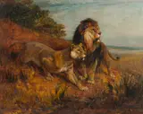 Paul Friedrich Meyerheim, Two lions in the savanna, 1881, oil on panel