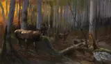 Karl Ritter von Dombrowski, Forest landscape with deer, pastel on canvas