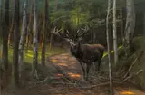 Karl Ritter von Dombrowski, Twelve-pointer in a forest glade, pastel on canvas