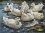 Alexander Koester, Seven ducks in the water, pastel on paper