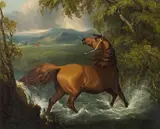 attributet to Sawery Gilpin, Brown horse at a river, oil on canvas