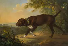 Martin Ferdinand Quadal, The Hound of Duke Albert of Saxony-Teschen, oil on canvas