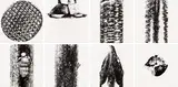 Günther Uecker, Leibbeschreibung eines Nagels, portfolio of 8 relief printings