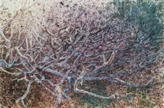 Andrea Kasamas, Untitled, 1989, gouache on paper