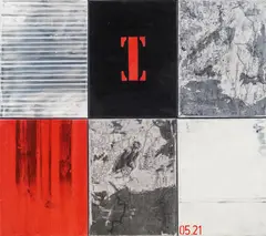 Richard Kaplenig, 05.21, 2011, mixed media on canvas; 6 pieces