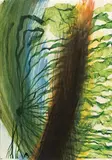 Arnulf Rainer, Untitled
