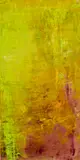 Hubert Scheibl, Yellow Rapid