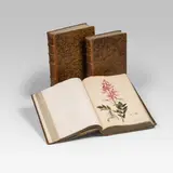 Plantae medicinales... by Christian Gottfried Daniel Nees von Esenbeck, sold Jun 2015