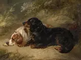 George Armfield, Two lying dogs