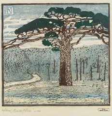 Broncia Koller-Pinell, Mödling Breite Föhre, ca. 1900, colour wood cut on paper