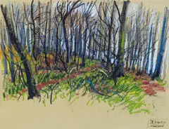 Josef Bramer, Wienerwald, 2001, mixed media on paper