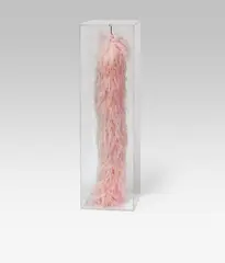 Dark & Deep (light pink) by Sylvie Fleury, 2004, feather boa (ostrich), plexiglas-box, offered Mar 2015