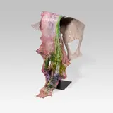 Sylvia K. Kummer, Lebenshaut, Life Layers, 2008, mixed media on leather
