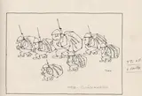 Paul Flora, Political cartoon, mixed lot 13 sheets: April until September