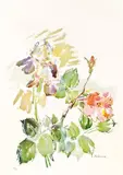 Irises with roses by Oskar Kokoschka, 1976, lithograph on paper, sold Jan 2015