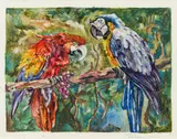 Carl Fahringer, Parrots