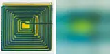 Thomas Baumann, Net" (diptych), 2002, oil on canvas and digital print on aluminium