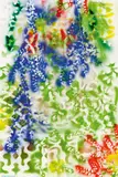 Oswald Oberhuber, Untitled
