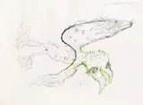 Oswald Oberhuber, Bird