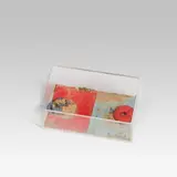 Dieter Roth, Untitled, 1973, acrylic paint, linen-lined book cover, plexiglass box