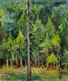 Anton Mahringer, Forest area