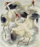 Norbertine Bresslern-Roth, Tanz der Kraniche