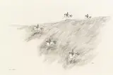 Paul Flora, Fünf Husaren