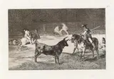 The celebrated Picador, Fernando del Toro, Draws the Fierce Beast on with His Pique by Francisco Jose Y Lucientes Goya, 1815-1816, etching, aquatint, drypoint and engraving, sold Nov 2014