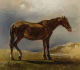 Friedrich Gauermann, Study of a horse