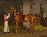 Theodor Franz Zimmermann, Racehorse in a stable with Hungarian Horseman, 1848, oil on canvas