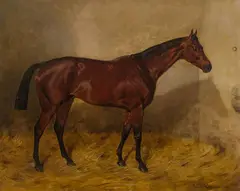 Emil Adam, Racehorse in a stable, 1887, oil on canvas